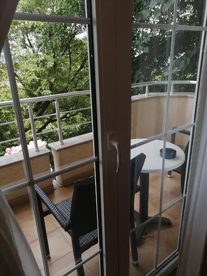 B&B Vila Vidikovac Aranđelovac Exteriér fotografie