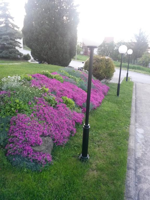 B&B Vila Vidikovac Aranđelovac Exteriér fotografie