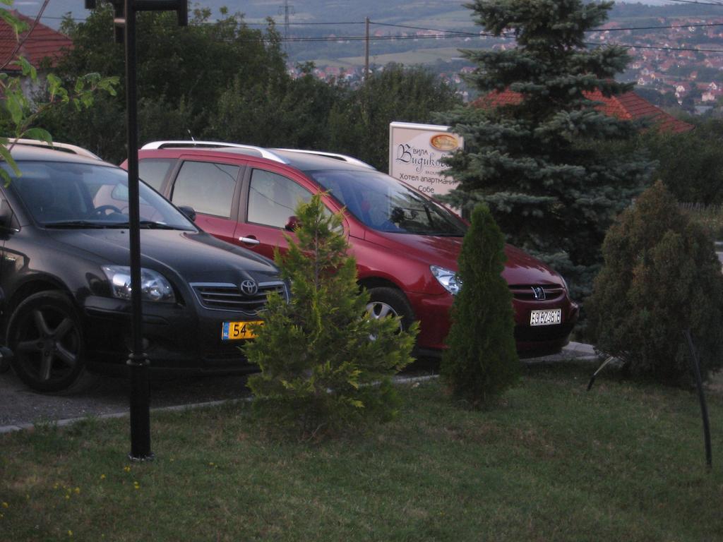 B&B Vila Vidikovac Aranđelovac Exteriér fotografie