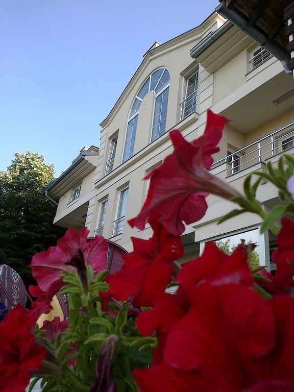 B&B Vila Vidikovac Aranđelovac Exteriér fotografie